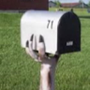 Meet your Posher, Jan